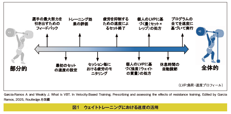 トレーニング指導者のためのパフォーマンス測定と評価#26 VBTの有効性